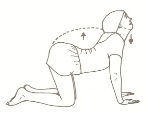 marjariasana