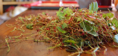 confiture4.jpg