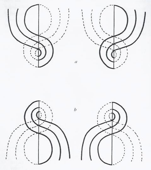 disegni di forma